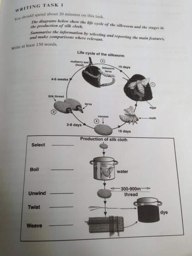 IELTS writing task 1 sample process