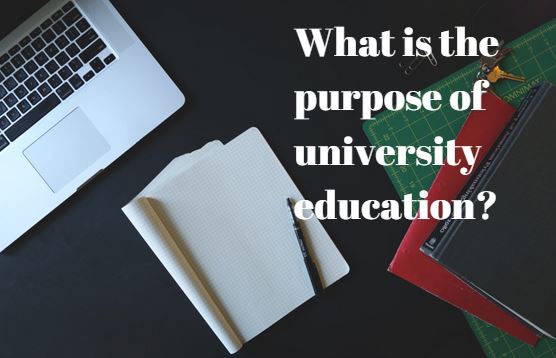 Some people beleive the aim of university education