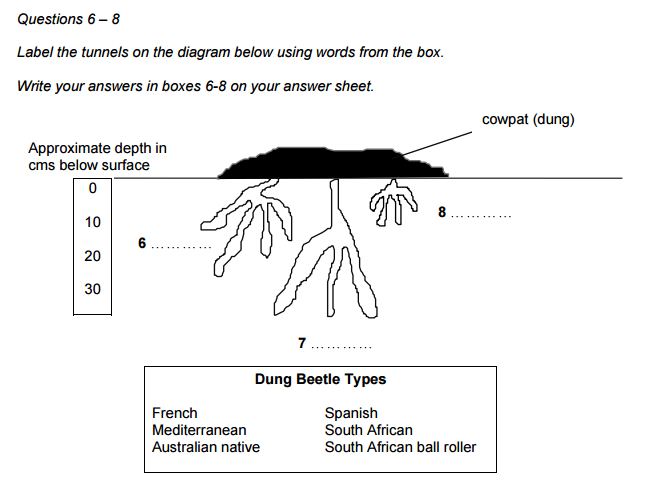 IELTS reading diagram completion